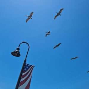 Nieuw project - 2025-12-03T145607.385