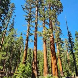 Nieuw project - 2025-12-03T152040.166