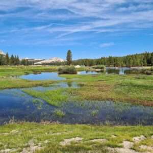 Nieuw project - 2025-12-03T152431.164