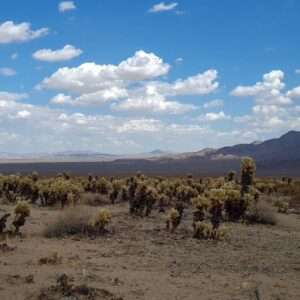 Nieuw project - 2025-12-03T154244.458