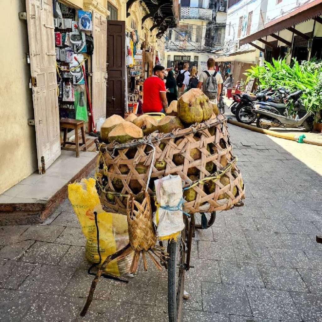 Stone Town het oude centrum van Zanzibar stad, de hoofdstad van het eiland en behorend tot UNESCO werelderfgoed