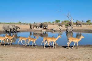 20231019_081216 20231019_081216