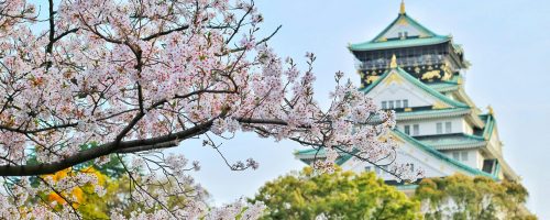 pexels-bagus41-1440476